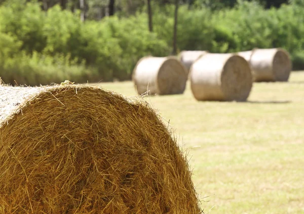 Closeup of hay bale — Stock Photo, Image