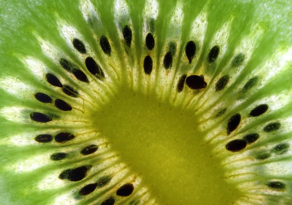 Prima beeld close-up van kiwi achtergrond d — Stockfoto