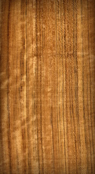Grunge struttura in legno — Foto Stock