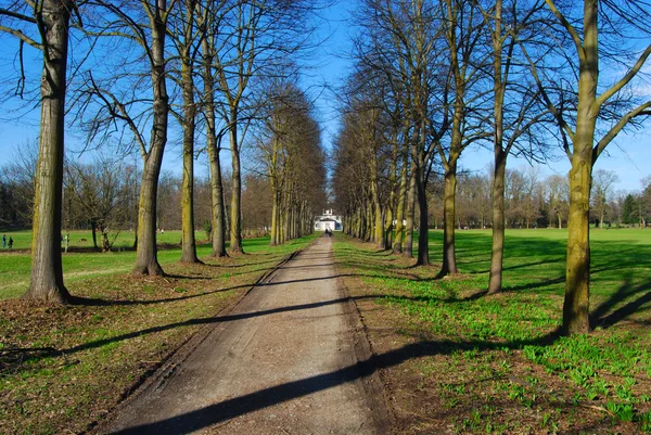 stock image Way in the park