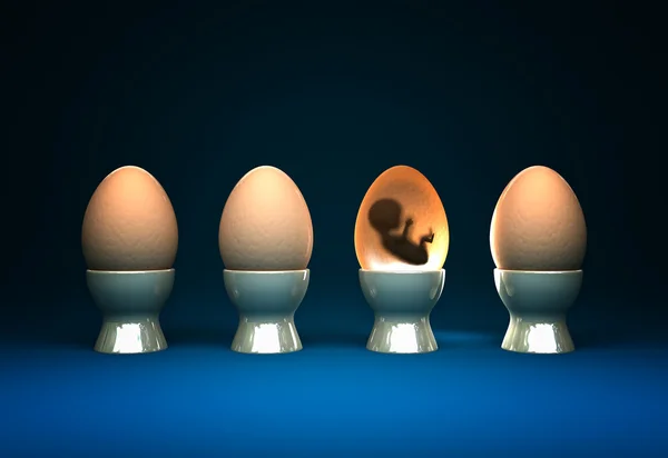 Життя в яйці — стокове фото