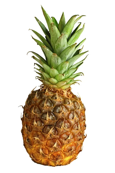 Frontal pineapple image — Stock Photo, Image