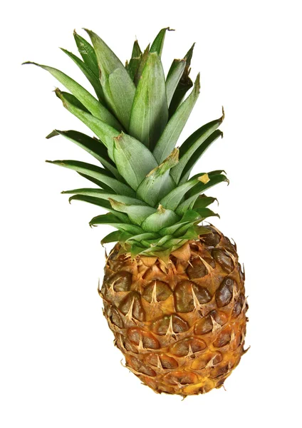 Pineapple fruit isolated on white — Stock Photo, Image