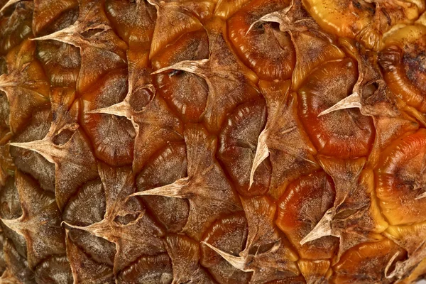 Textury kůže ananas — Stock fotografie