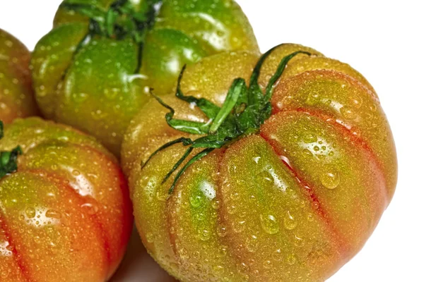 Zelená a červená rajčata — Stock fotografie