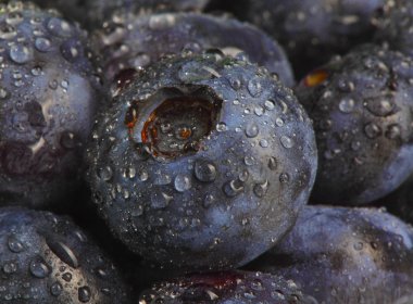 Wet blueberry datail clipart