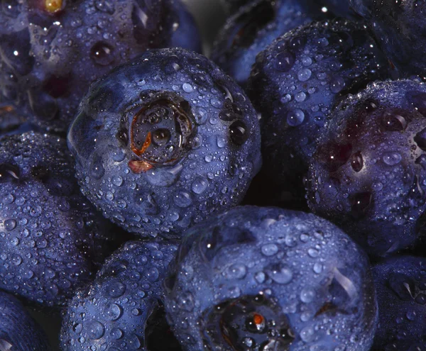 Blueberry háttér — Stock Fotó