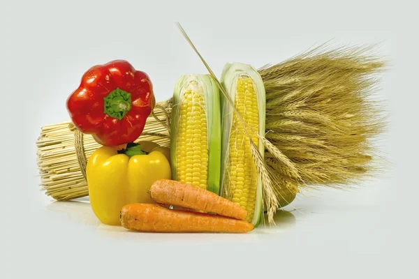 Oren en maïsorejas y maíz — Stockfoto