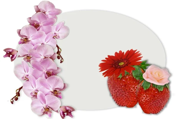 Berries and flowers — Stock Photo, Image