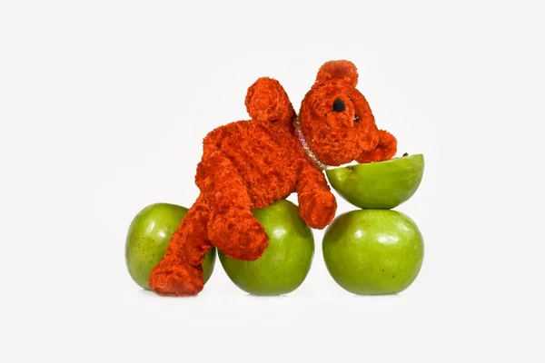Red the bear has a rest — Stock Photo, Image