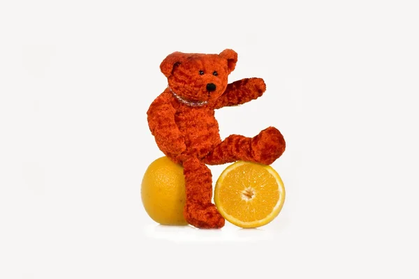 Björnen cub och apelsiner — Stockfoto