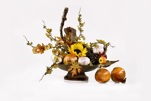 Trockene Blumen und Zwiebeln — Stockfoto