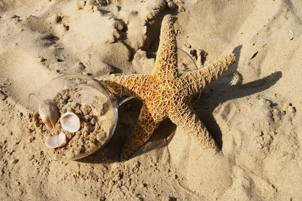Star and sand — Stock Photo, Image