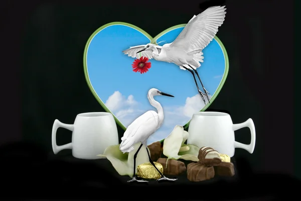 Tea together — Stock Photo, Image