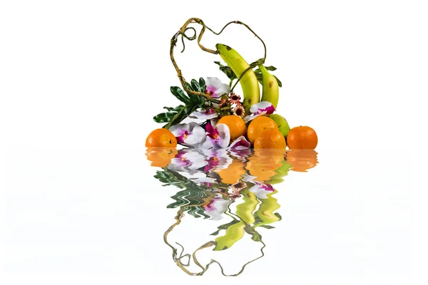 Orchid and tangerines — Stock Photo, Image