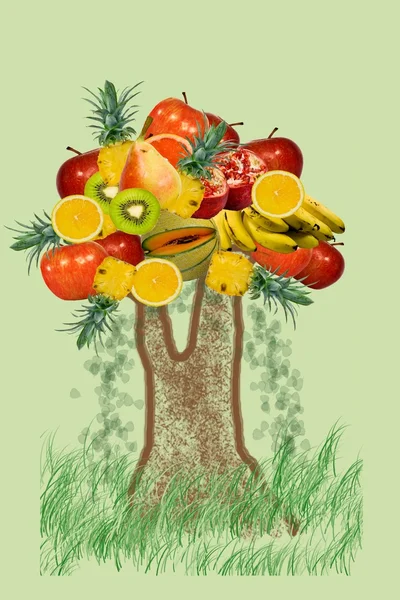 Drzewo z owoców — Zdjęcie stockowe