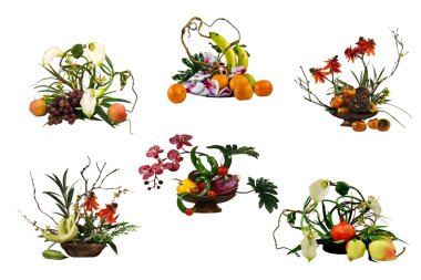 Six compositions from fruit clipart