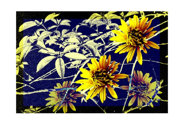 Poster from chrysanthemums and leaves — Stock Photo, Image