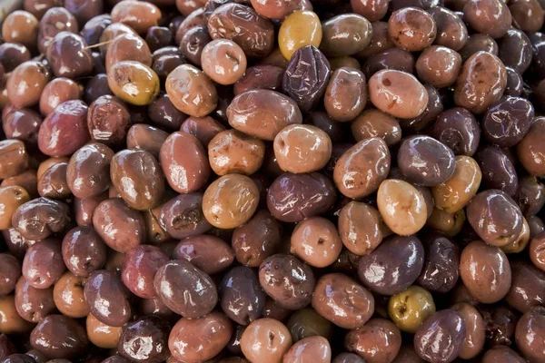 stock image Field from olives