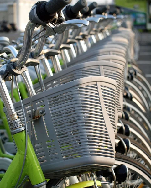 Sepeda untuk disewa — Stok Foto