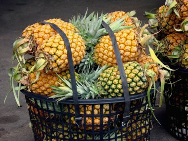 Pineapples for Sale clipart
