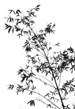 Bamboo Tree Outline clipart