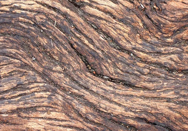오래 된 나무 패턴 — 스톡 사진