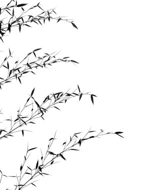 Bamboo Branches and Leaves clipart