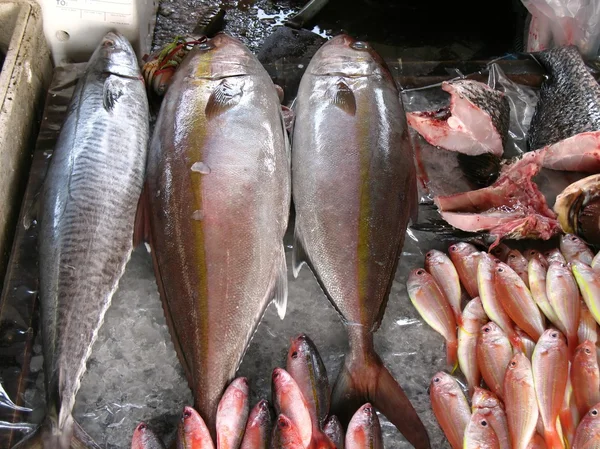 Al mercato del pesce — Foto Stock