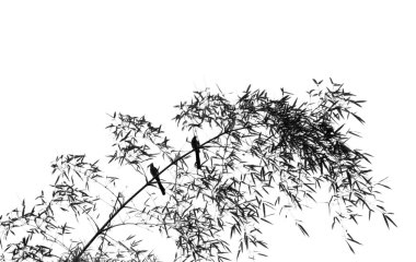 Bamboo Tree with Two Birds clipart