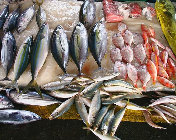 Mercado de peixe em Taiwan — Fotografia de Stock