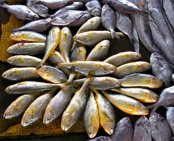 Marché aux poissons — Photo