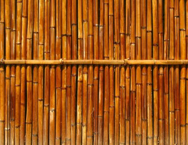 Bambu çit