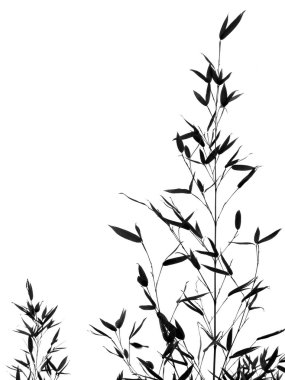 Bamboo Tree and Leaves clipart
