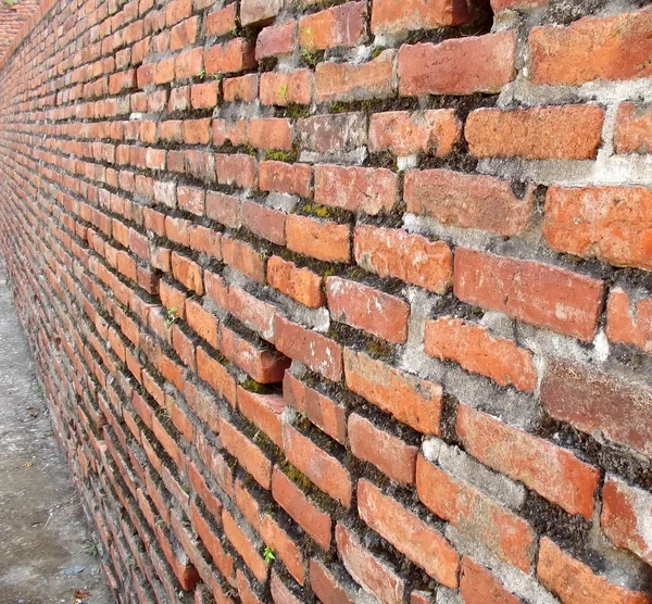 Eski tuğla duvar — Stok fotoğraf