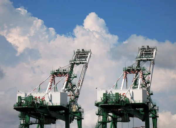Large Container Cranes — Stock Photo, Image
