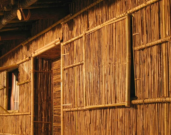 Cabane indigène en bambou — Photo