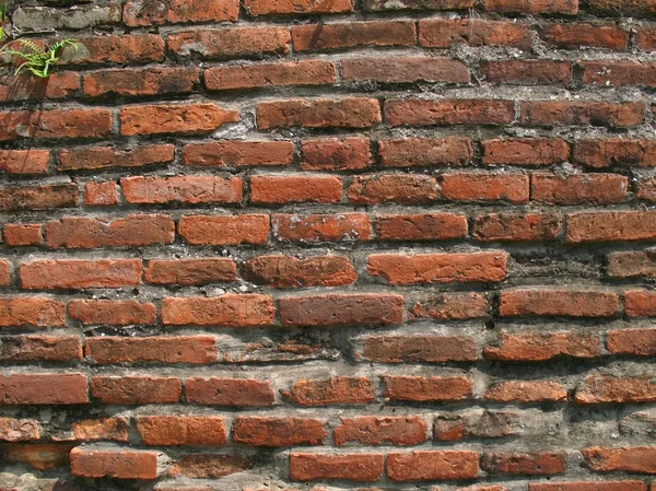 Ancient Brick Wall — Stock Photo, Image