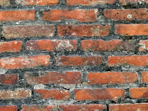 Grungy Brick Wall — Stock Photo, Image