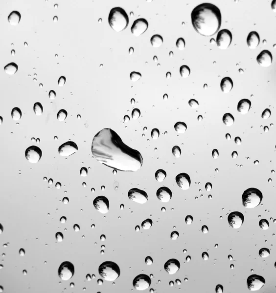 雨滴のクローズ アップ — ストック写真