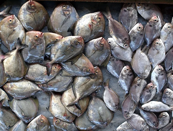 Fishmarket in Taiwan — Stock Photo, Image