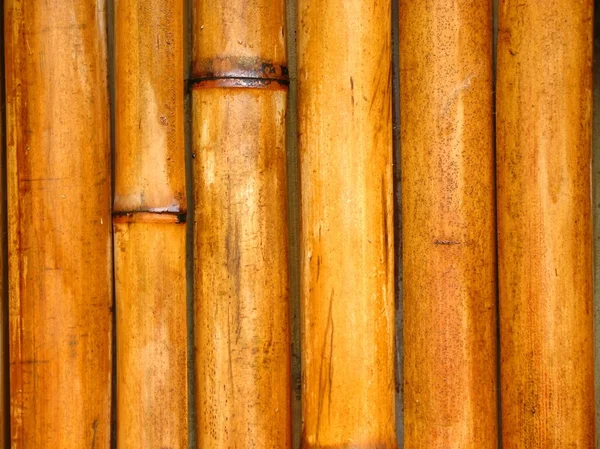 Bambu stolpar — Stockfoto