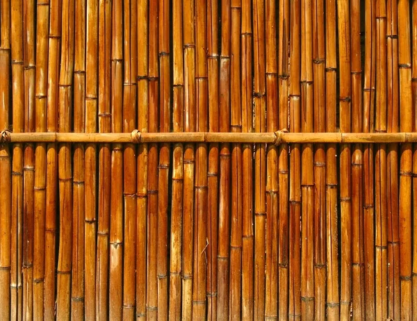 stock image Bamboo Fence