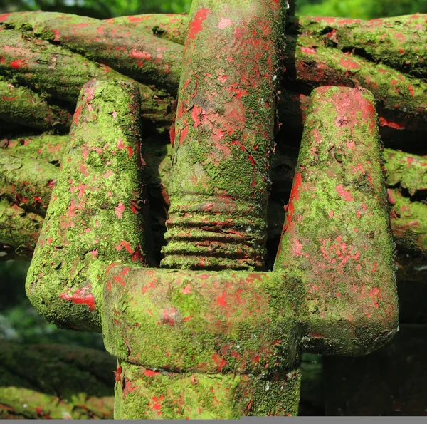 Moss y acero — Foto de Stock