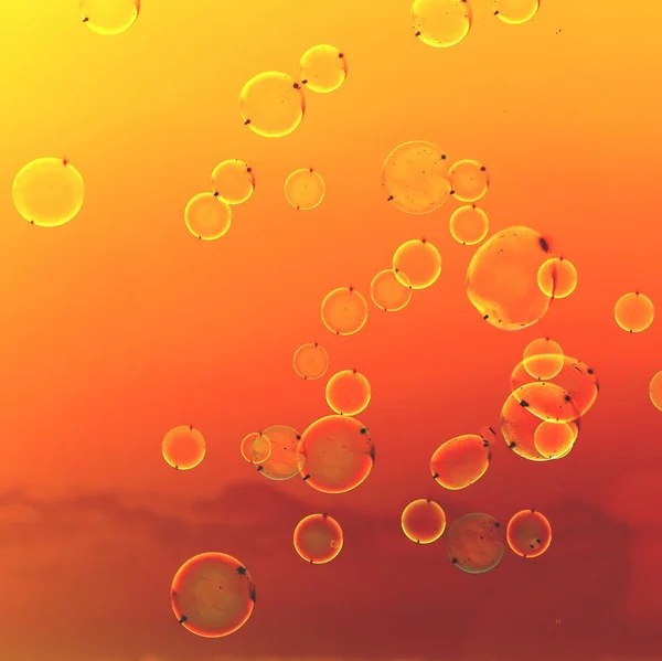 Soap Bubbles Background — Stock Photo, Image