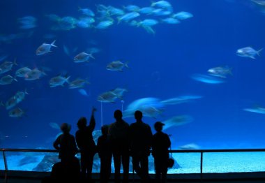 Visitors at Aquarium clipart