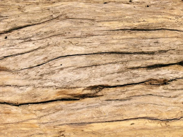Drift trä mönster — Stockfoto