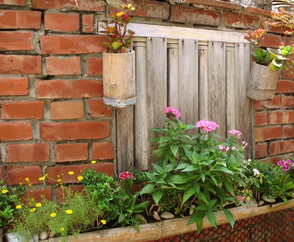 Pretty Garden Wall — Stock Photo, Image