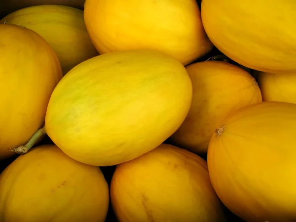 Meloni gialli melata — Foto Stock