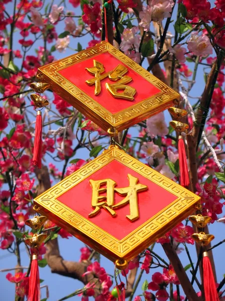 Feliz año nuevo chino! — Foto de Stock